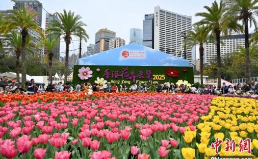 香港花卉展览开幕 将吸引游客65万人次