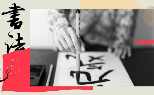 乐优康发布“百岁恩”品牌：以感恩文化锚定企业战略，回应健康中国时代命题