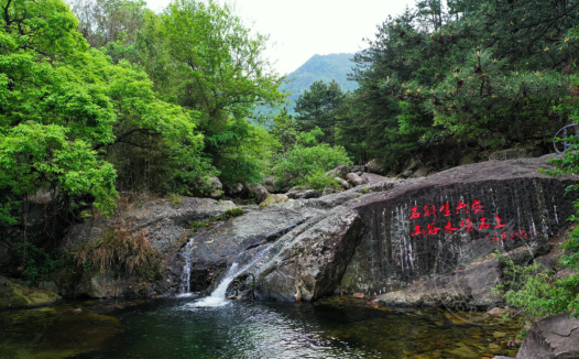 喜报,九仙尊荣获BRC认证:让霍山石斛站上世界品质巅峰